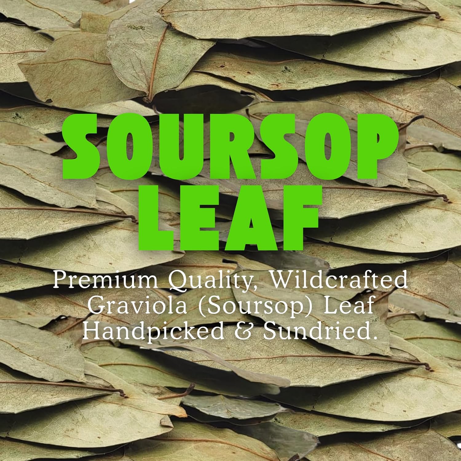 Herbalista - Premium Whole Dried Graviola Soursop Leaf (4 oz | 350+ Leaves) | 100% Natural Hoja de Guanabana | Fresh, Wildcrafted, and Authentic | Makes 30+ Cups of Delicious Tea - Image 2