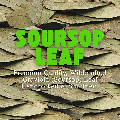 Miniatura 2 de Herbalista - Hoja de guanábana graviola seca de primera calidad (4 onzas | Más de 350 hojas) | Hoja de Guanabana 100% natural | Fresca, elaborada en