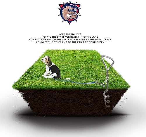 Miniatura 4 de HOSUKKO 3 piezas de cable y estaca para perros cable de amarre para mascotas estaca espiral inoxidable y collar ajustable para perros  Sistema