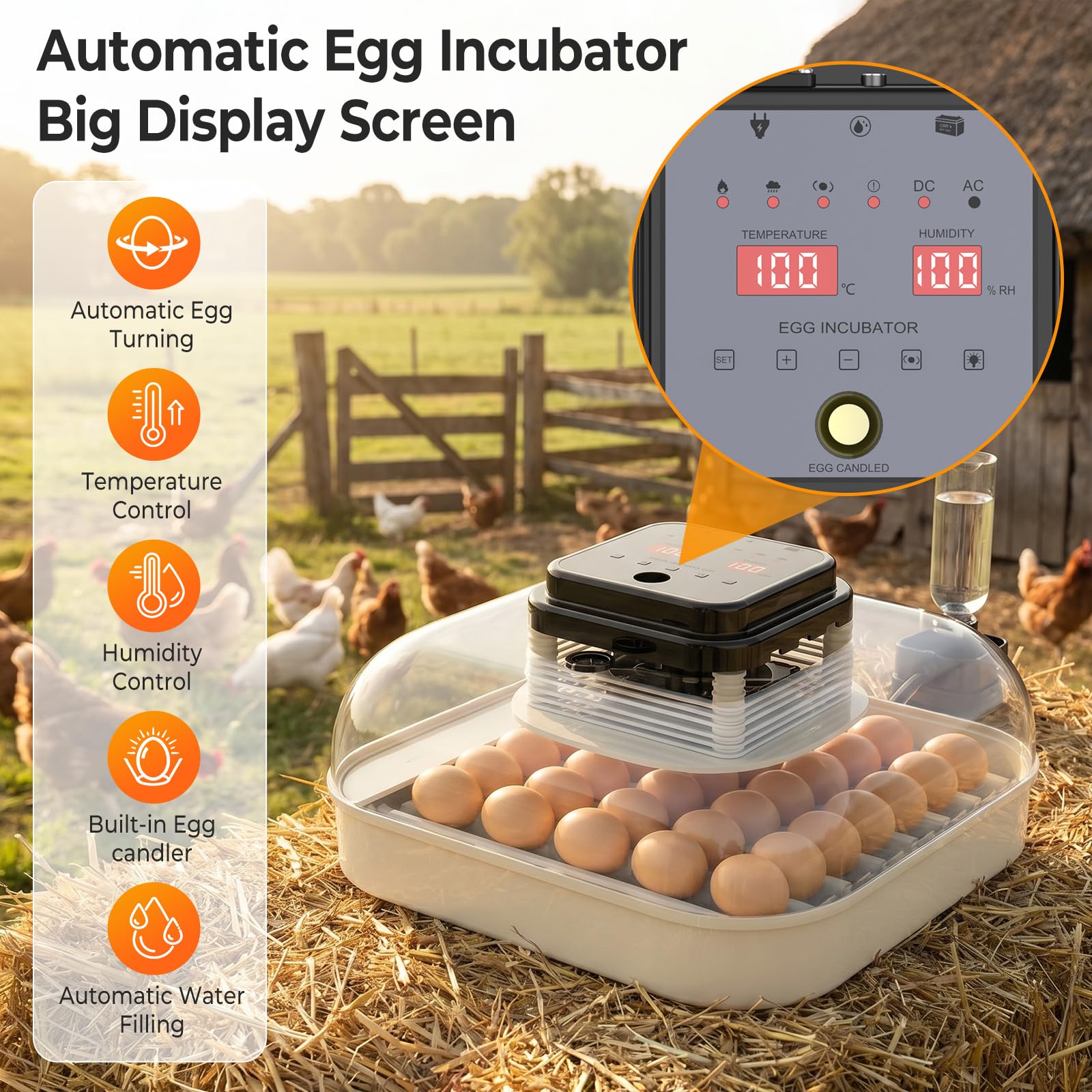 Incubadora Huevos Gallina, Encubadora Huevos 35 Capacidad con Control Preciso de Temperatura y Humedad, Chocadeira De Ovos para Principiantes y Educación