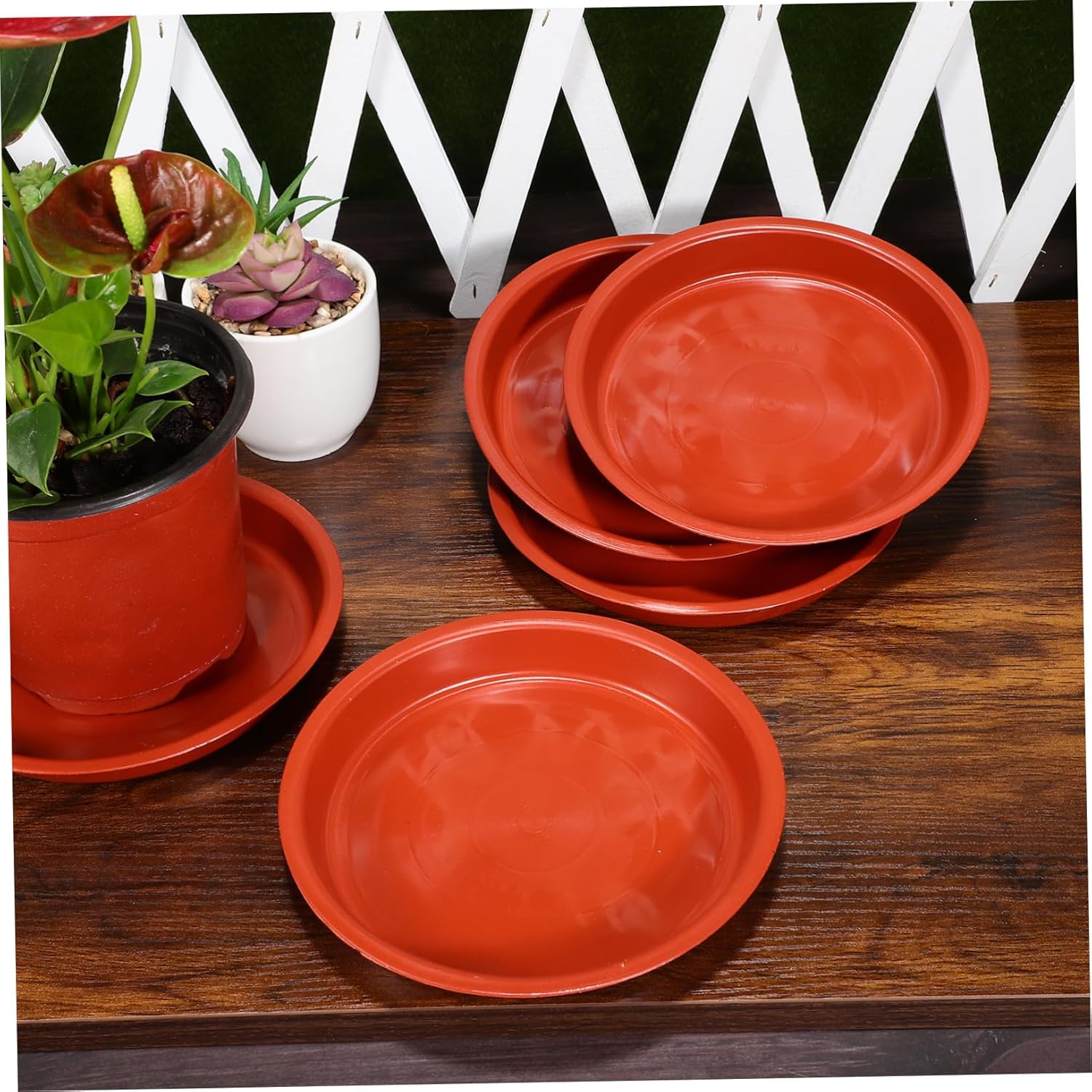 Mipcase 50pcs Round Plastic Flower Pot Saucers Drip Trays for Use for Flower Pots Practical and Convenient Design