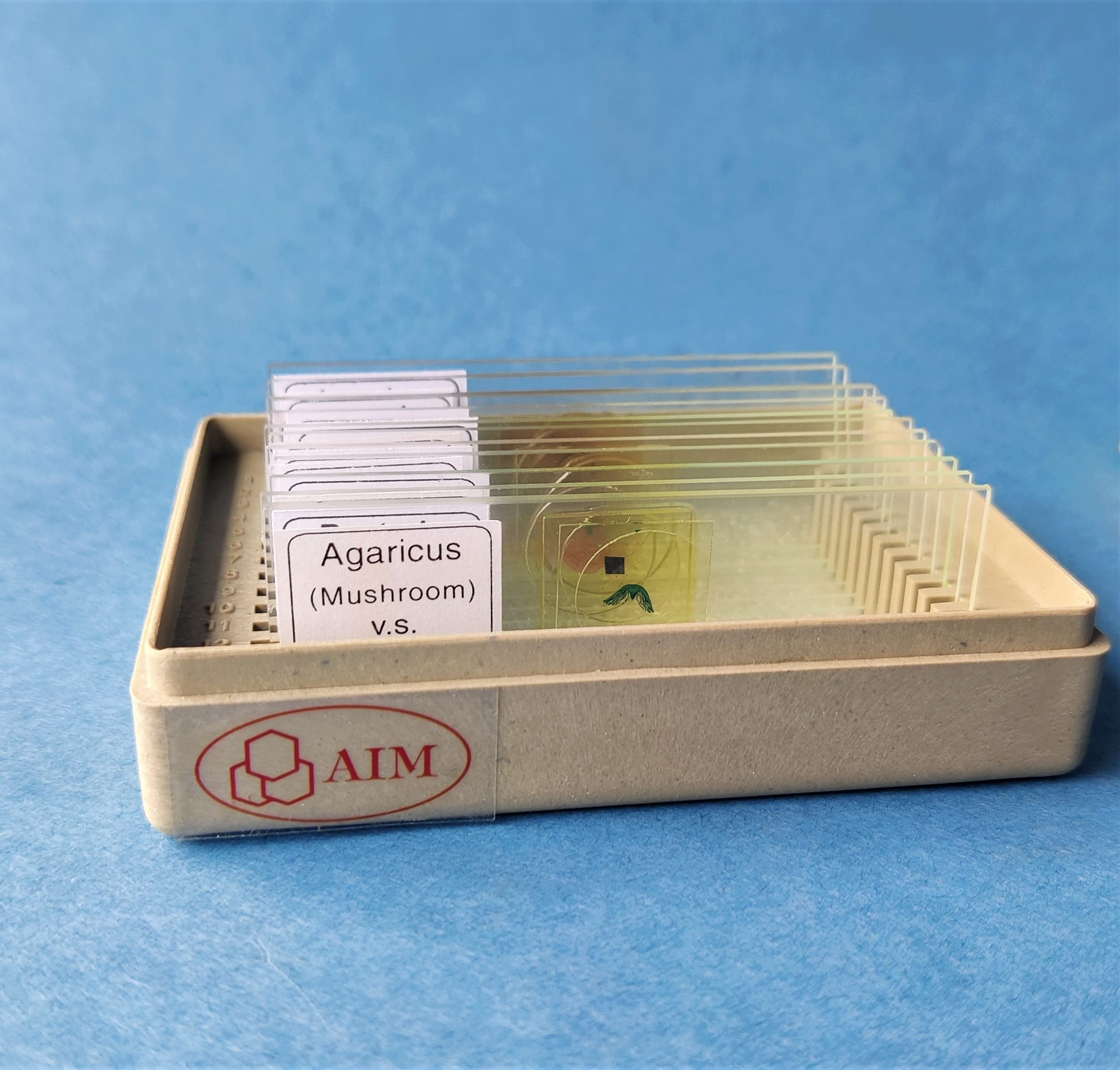 AIM Introduction to Biology Slide Set (set of 12)