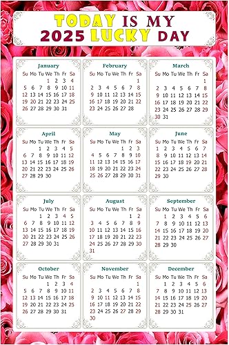 Miniatura 1 de Calendario magnético 2024  Imanes del calendario  Today is my Lucky Day  Resistente a la decoloración, desgarros y agua  Temático 028 (7 x 10.5)