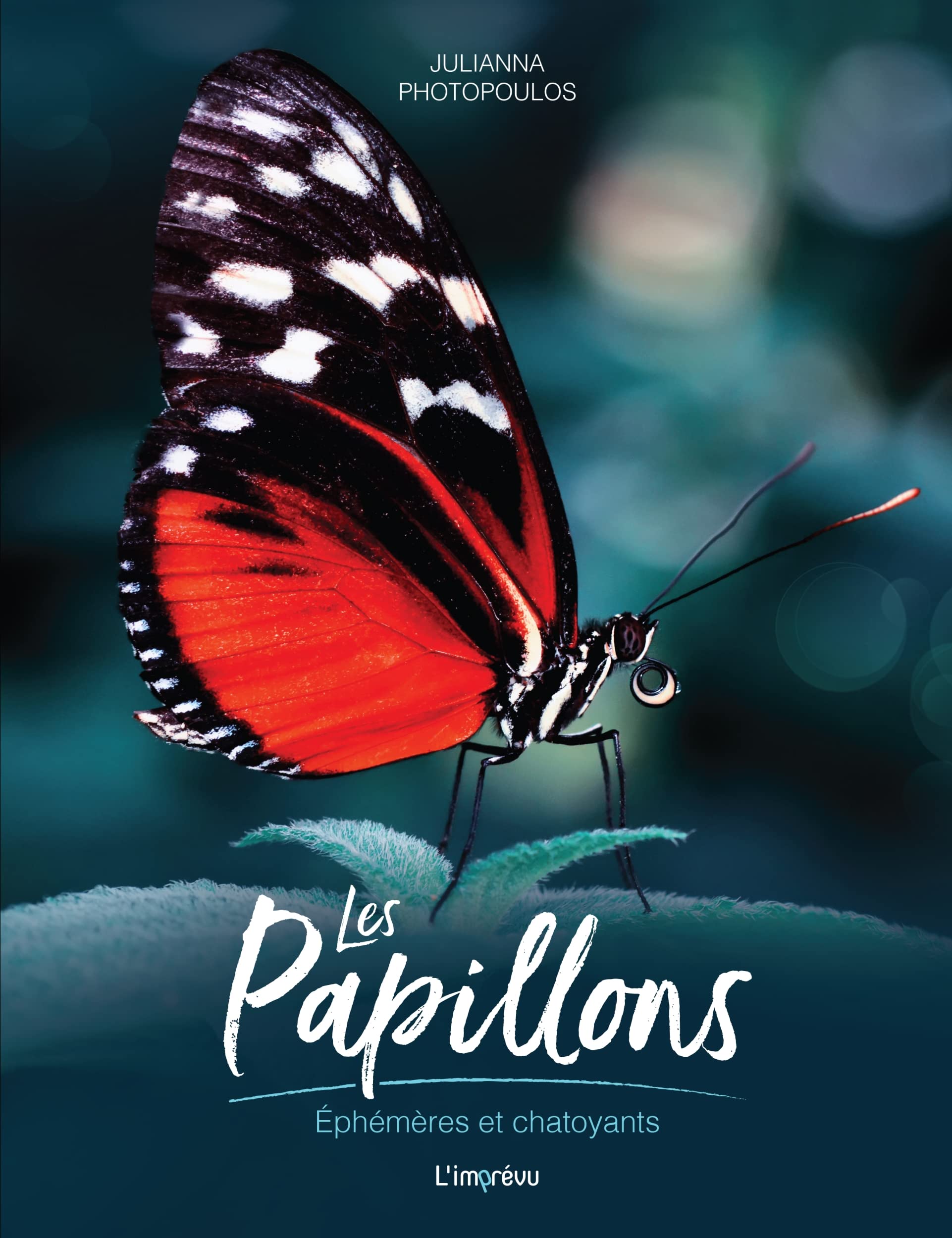 Les Papillons: Ephémères et chatoyants