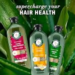 Herbal Essences Hydrate + Restore Honey Sulfate-Free Shampoo,1 L