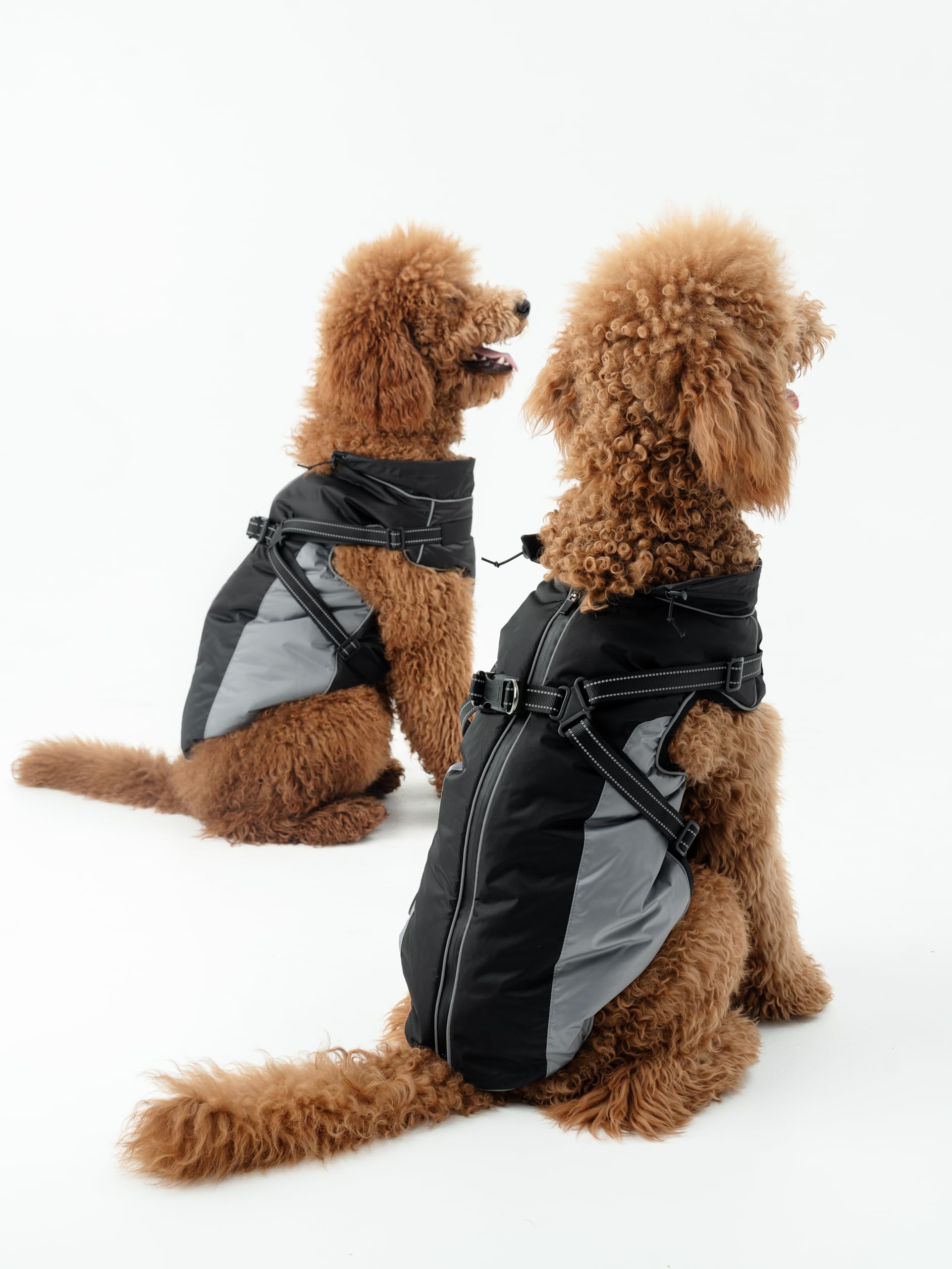 DOGOPAL Manteau Imperméable pour Chien avec Harnais Intégré – Veste de Pluie Réfléchissante, Coupe-Vent et Chaude pour Chien, Veste de Protection pour Petits, Moyens et Grands Chiens (Gris, 45)