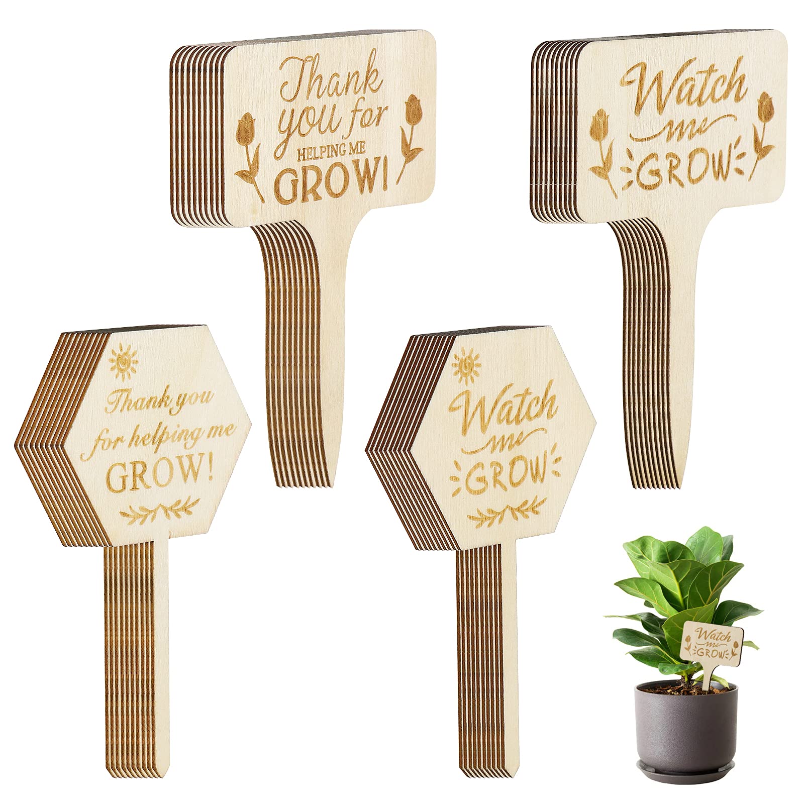 Dreamtop40PCS Watch Me Grow Succulent Tags Baby Shower Thank You for Helping Me Grow Plant Tags and Labels Garden Plant Stakes Labels Wooden Succulent Tag for Potted Plants Garden Flowers