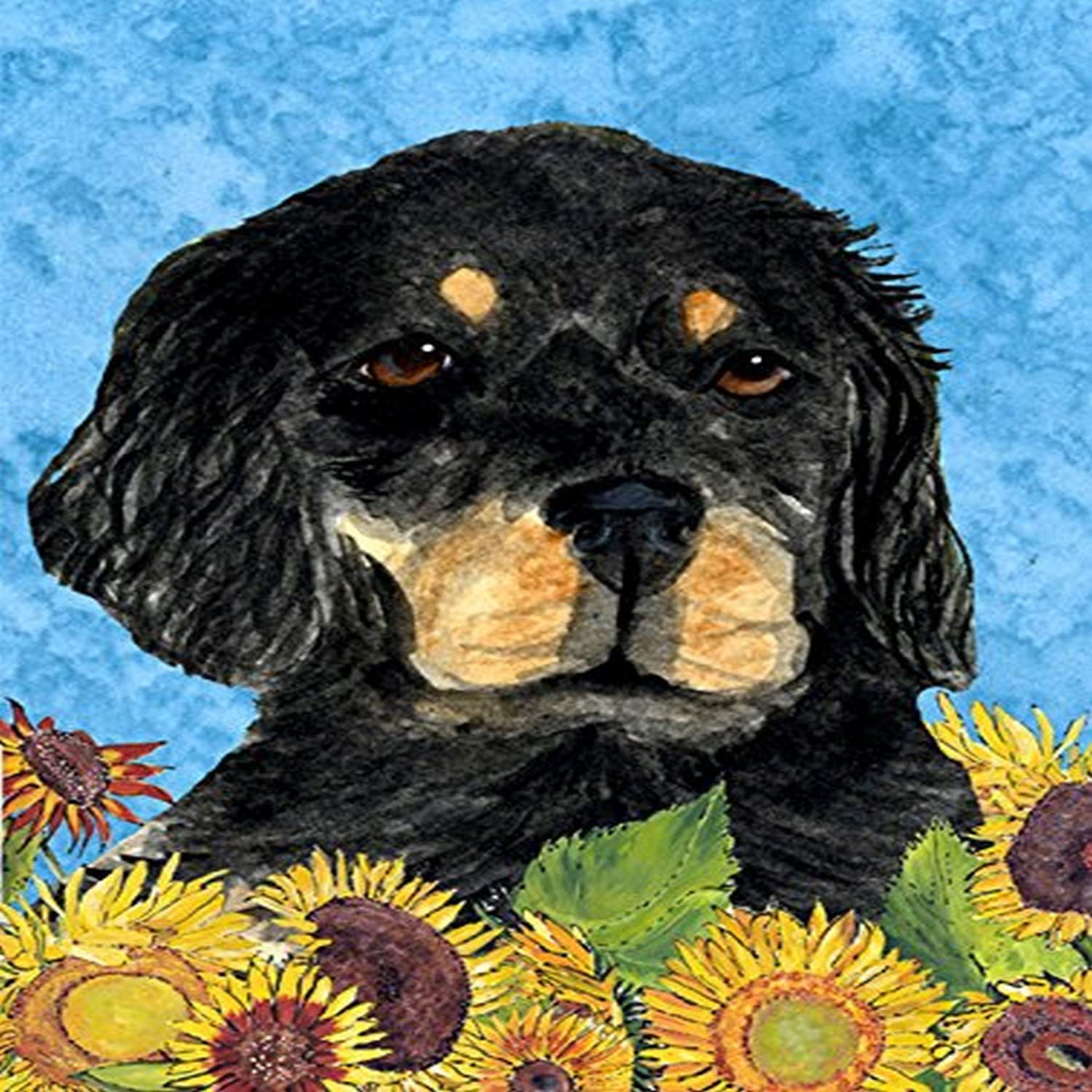 Carolines Treasures 18 X 18 In. Gordon Setter Coastal Sea Glass Throw Pillow C7c79893 F699 4738 Be8e 61625f15b531.adf70d4506e62b29c49f35350cba5c8d