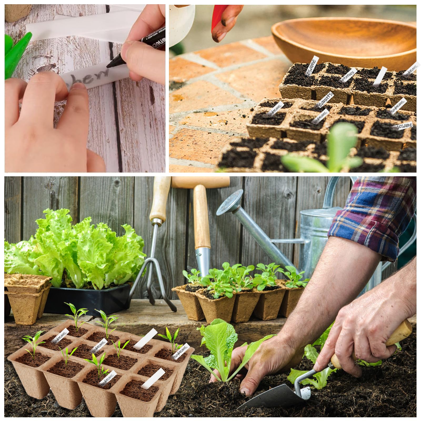 Macetas de Cultivo biodegradables cuadradas,24 Piezas Macetas Biodegradables para Plántulas y Trasplantes con 288 pcs Etiquetas de Plantas de Plástico para jardín, invernaderos o huertos