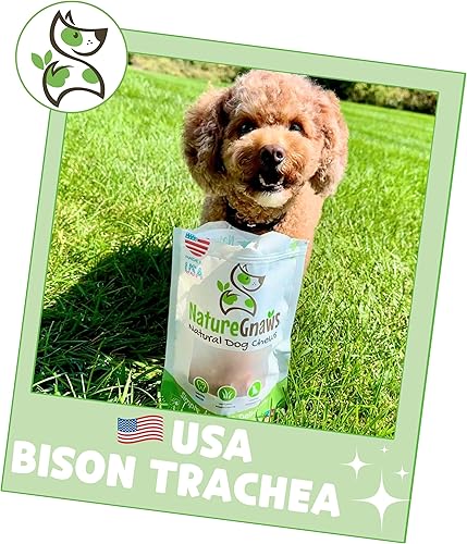 Miniatura 6 de Nature Gnaws Anillos de tráquea de bisonte ahumado de EE. UU. para perros, masticables dentales naturales de primera calidad, huesos de perro de