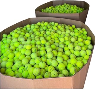 25-100 Used Tennis Balls for Dogs - Support USA Tennis Ball Recycling NonProfit: Bulk Tennis Balls for Dogs, Tennis Balls for Dogs Bulk, Dog Tennis Balls Bulk, Tennis Balls Bulk for Dogs (100 Balls)