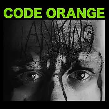 KING - WE ARE KING 2LP レコード　Orange盤 KING / WE ARE KING (2LP)