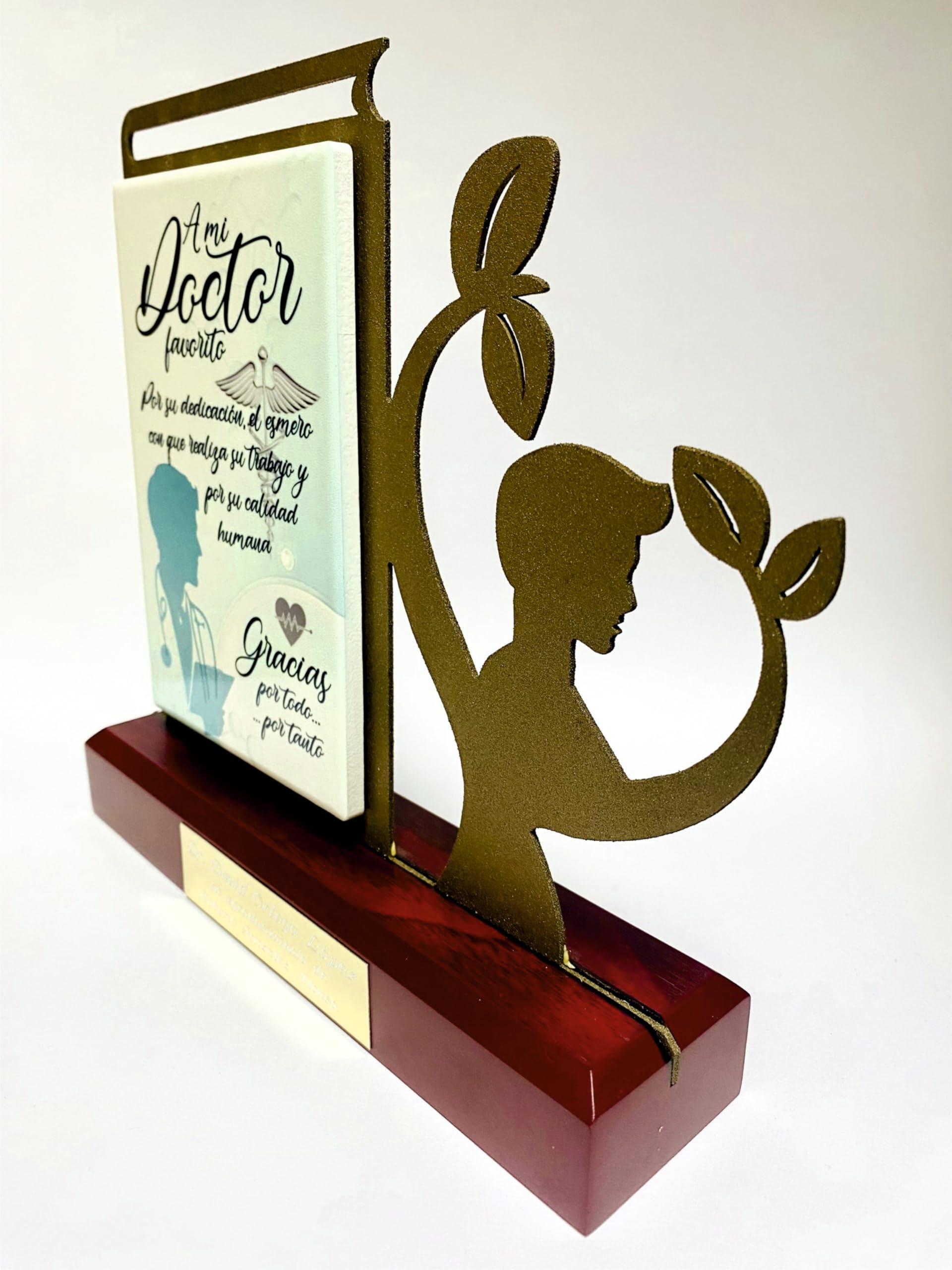 Regalo Médico Doctor para Agradecimiento, Figura Personalizada con dedicatoria de Acero Satinado