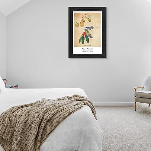 Vista 159 de Towee Bunting by James Audubon - Marco biselado negro de 12 x 16 pulgadas, decoración artística enmarcada para pared, reproducción de pinturas