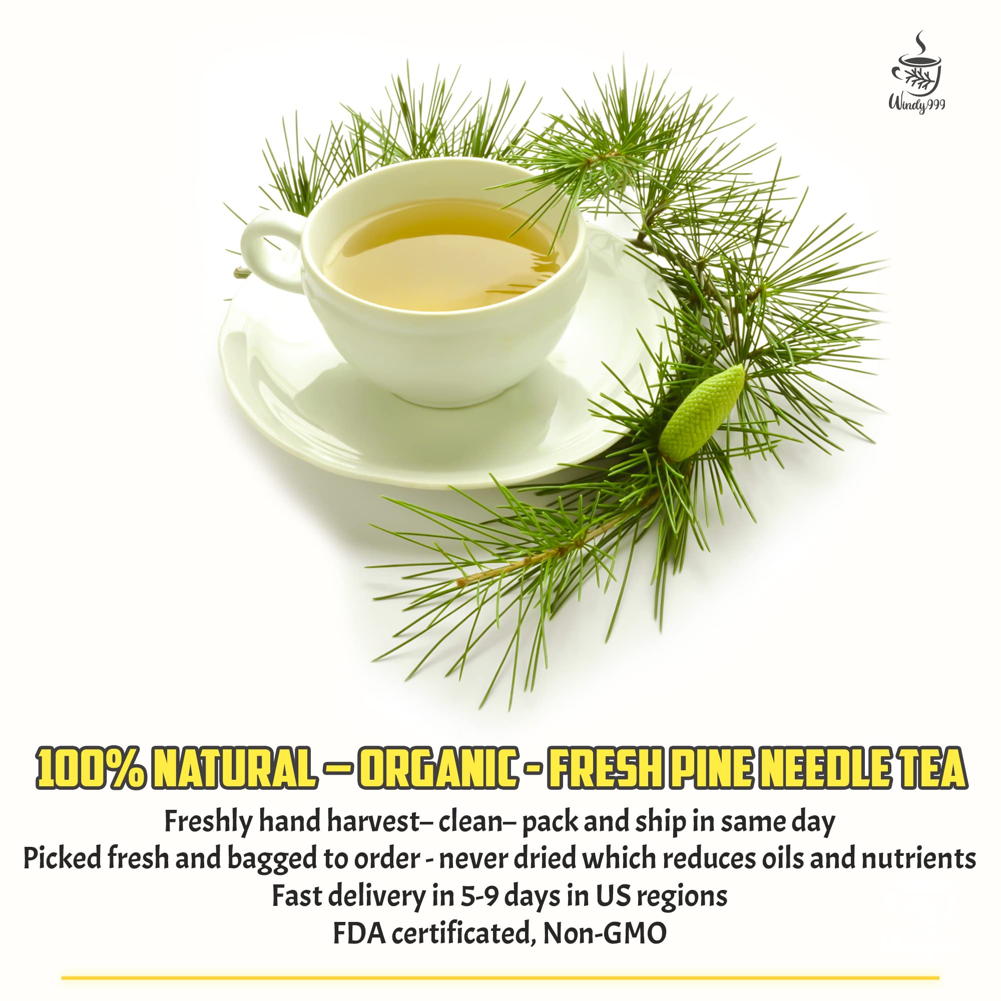 Fresh White Pine Needle Tea, Pine Needle for Tea, Pine Needle Tea Organic, White Pine Needle Tea