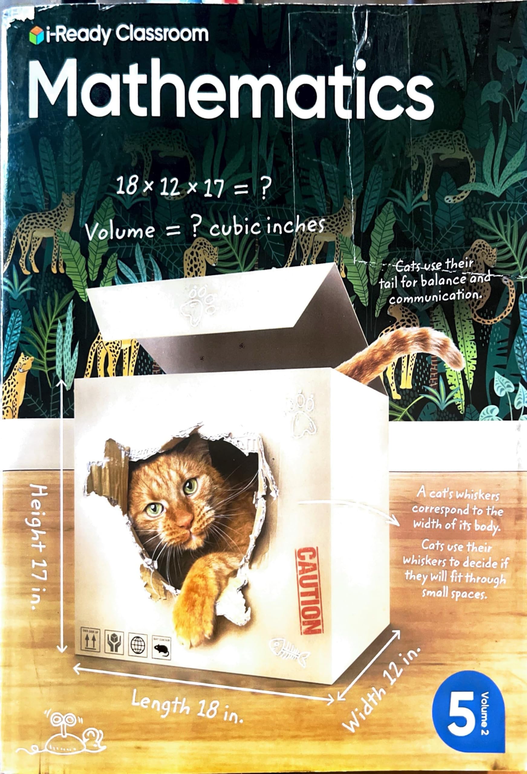 i-Ready Classroom- Mathematics Grade 5 Volume 2