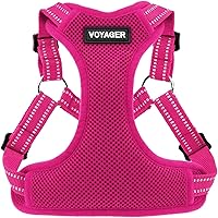 Voyager Pettorina per Cani Regolabile con Strisce Riflettenti by Best Pet Supplies