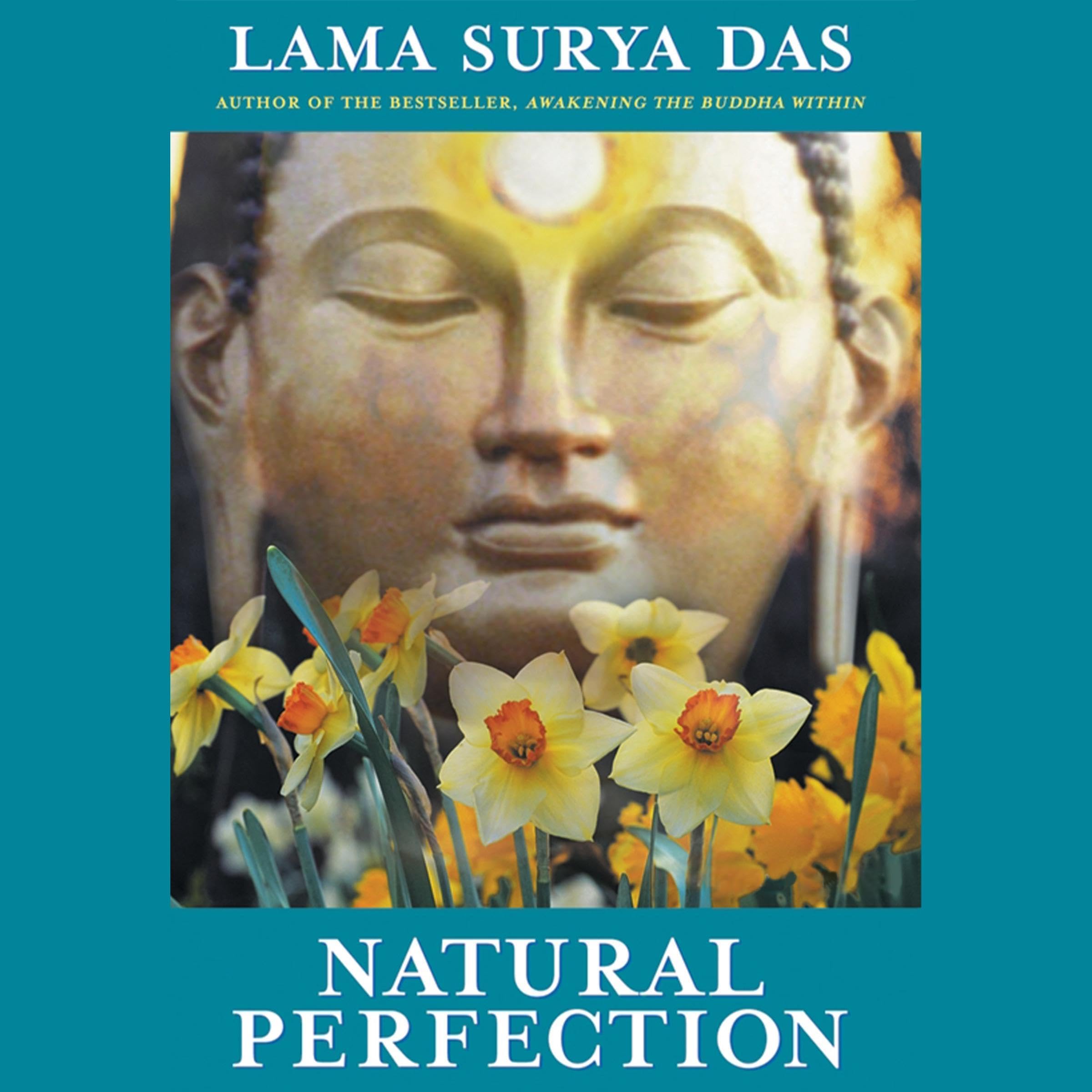 Cover art for Natural Perfection
