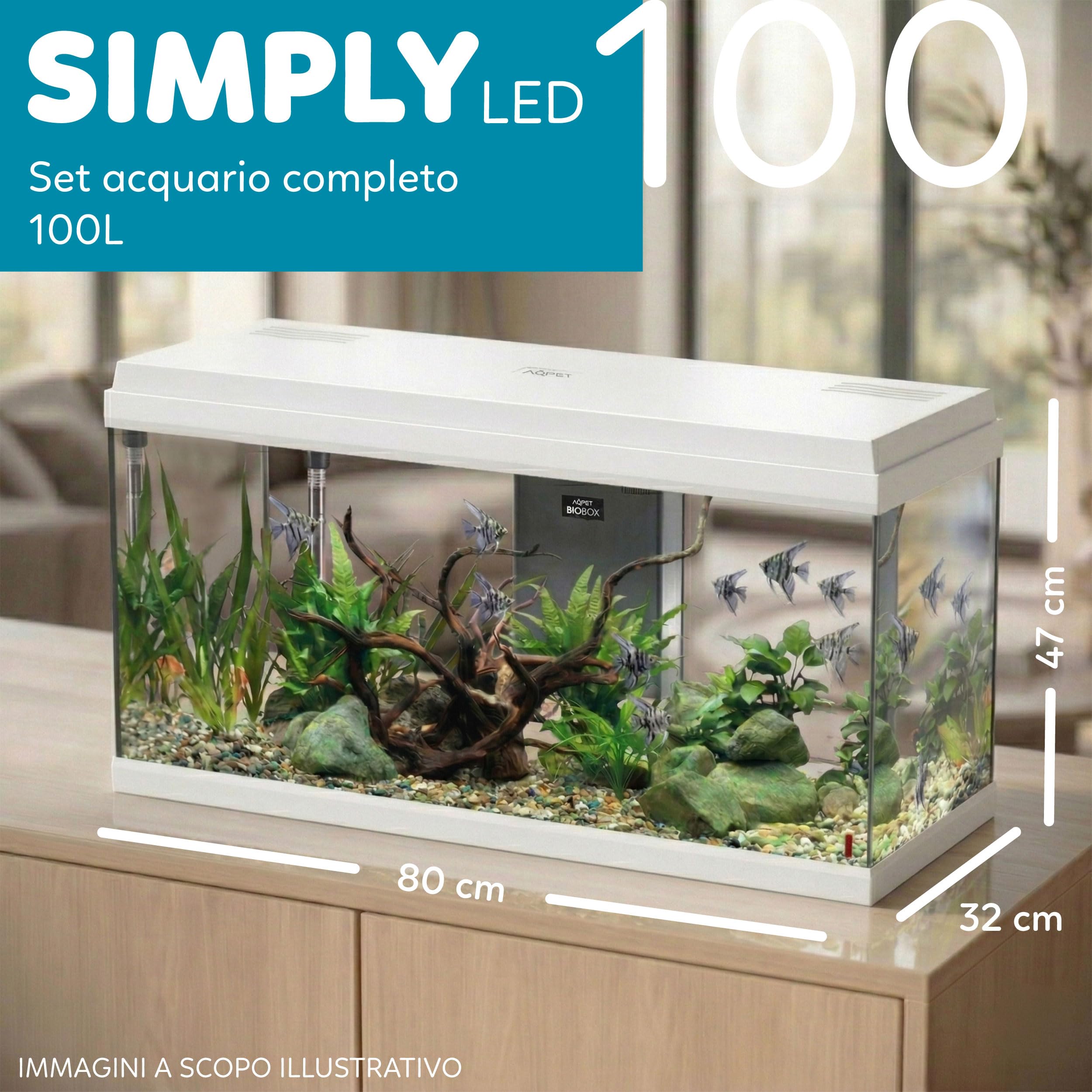 Aqpet Acquario in Vetro per Pesci tropicali Completo di Accessori Filtro Luce Simply, 100 80x32x47 cm 100 Litri, Bianco