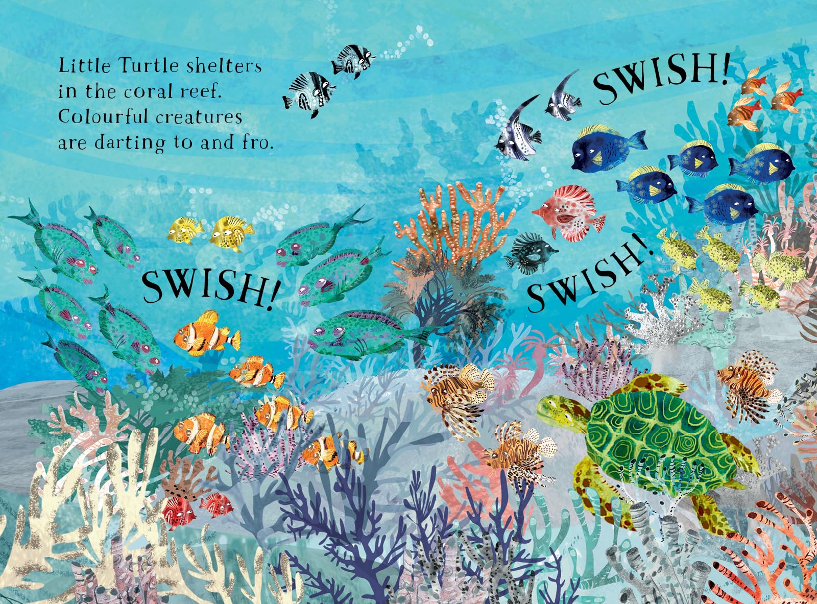 Little Turtle's Book of the Blue /anglais