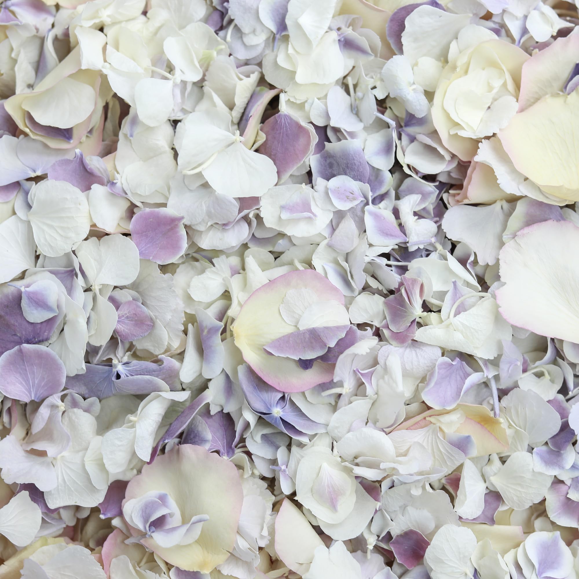 Petals And Roses Vintage Mix Freeze Dried Hydrangea & Rose Petal Confetti | Natural & Biodegradable For Weddings, 2 Litres
