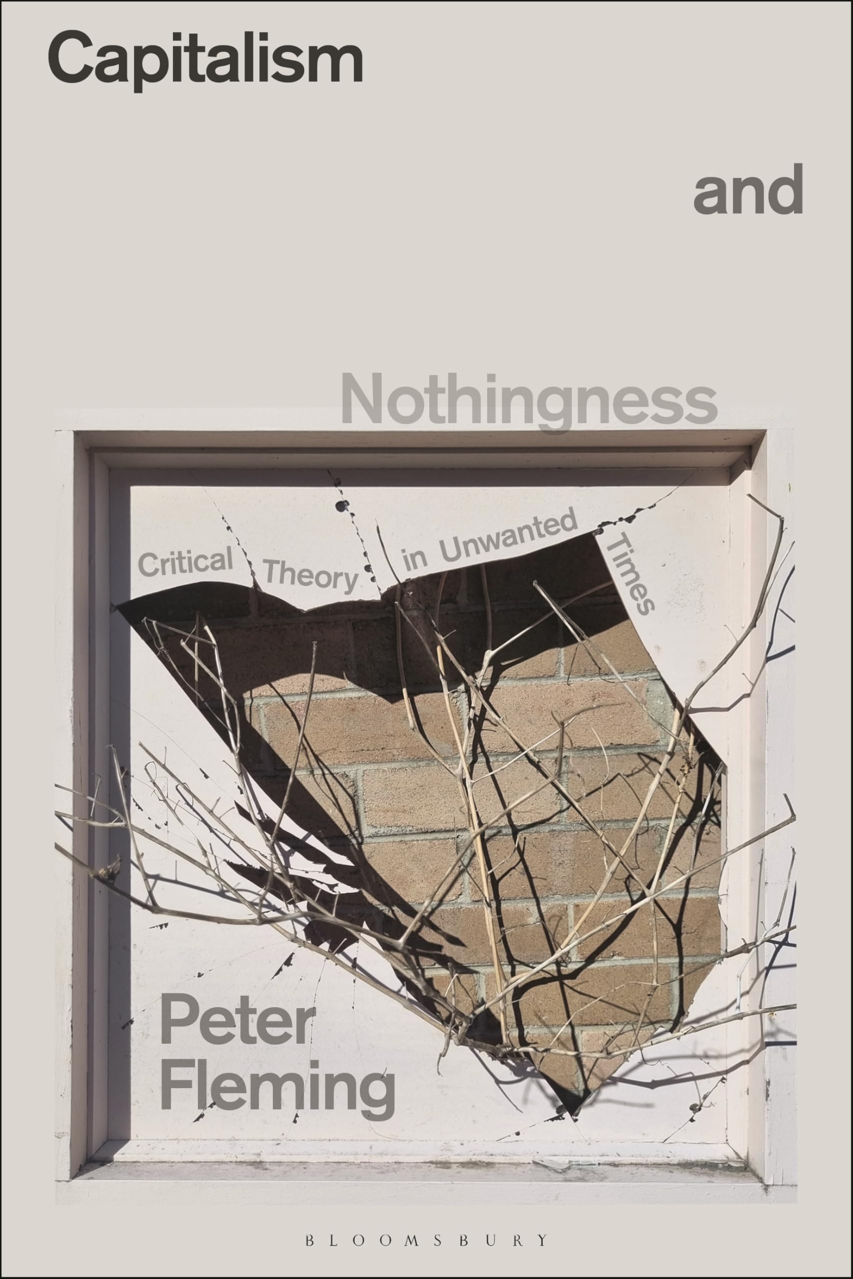 Capitalism and Nothingness by Peter Fleming PAPERBACK 9781350441873