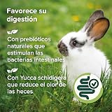 Ver la foto 7
