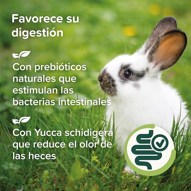 Foto 7 de 8 de Beaphar Care+® Nature Conejo - Alimento Natural para Conejos sin Cereales, Rico en Fibra y heno Timothy