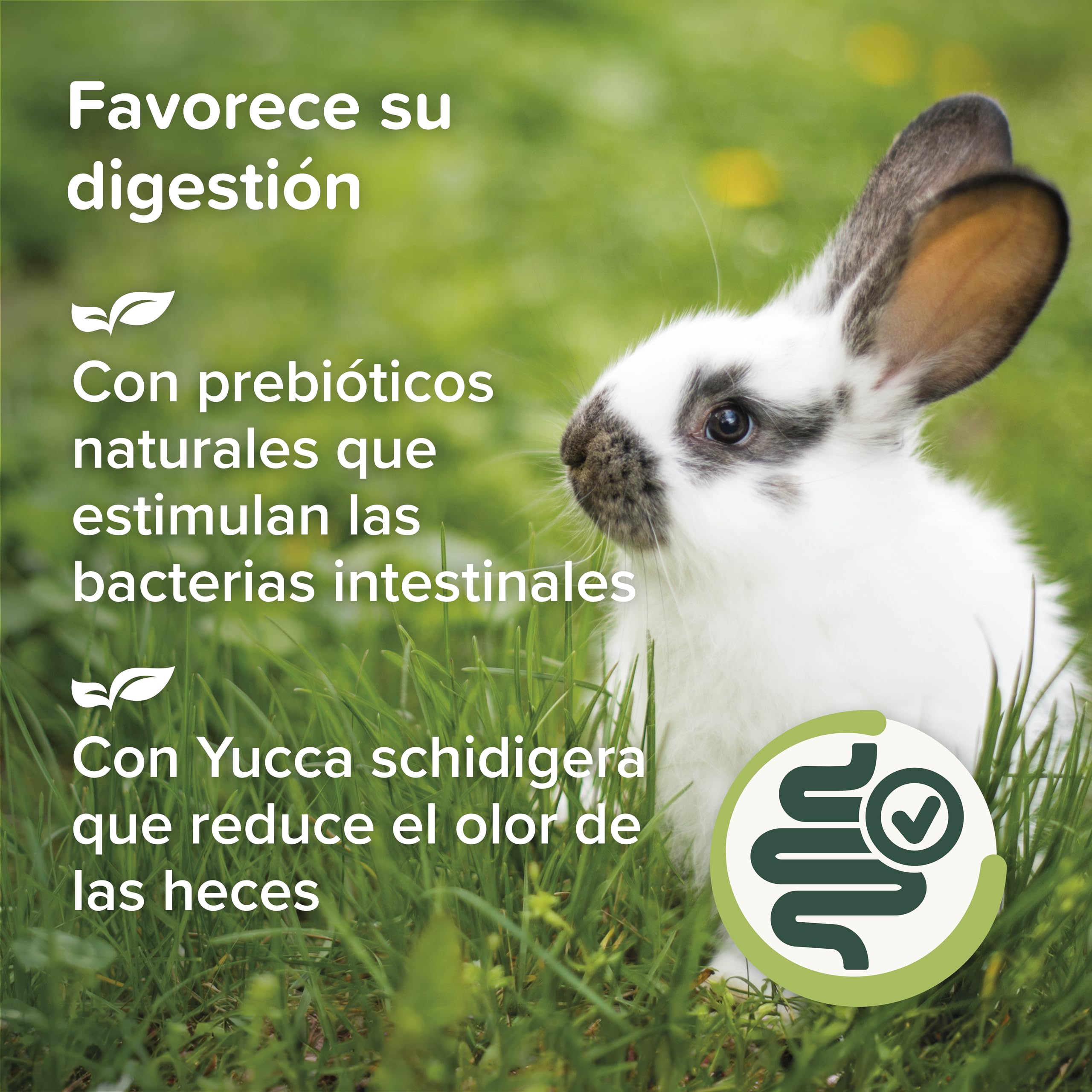 Beaphar Care+® Nature Conejo - Alimento Natural para Conejos sin Cereales, Rico en Fibra y heno Timothy - pellets Todo en uno - 1,5 kg
