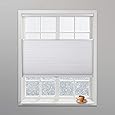 BlindsAvenue Cordless Top Down Bottom Up Cellular Honeycomb Shade, 9/16" Single Cell, Light Filtering, Cotton White, Size: 69" W x 72" H
