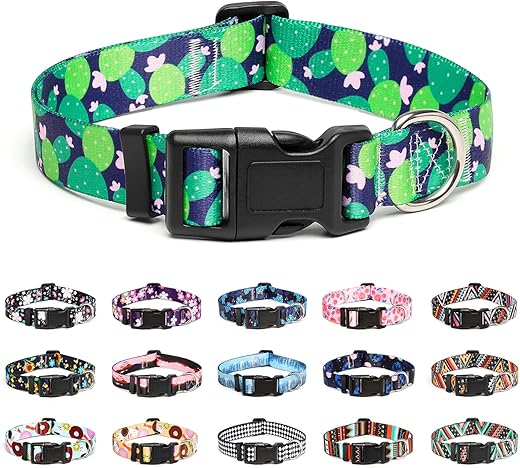 Mercano Adjustable Dog Collar - Special Design Patterns, Soft Nylon Comfortable Sturdy Pet Collar for Small Medium Large Dogs (S, Cactus)