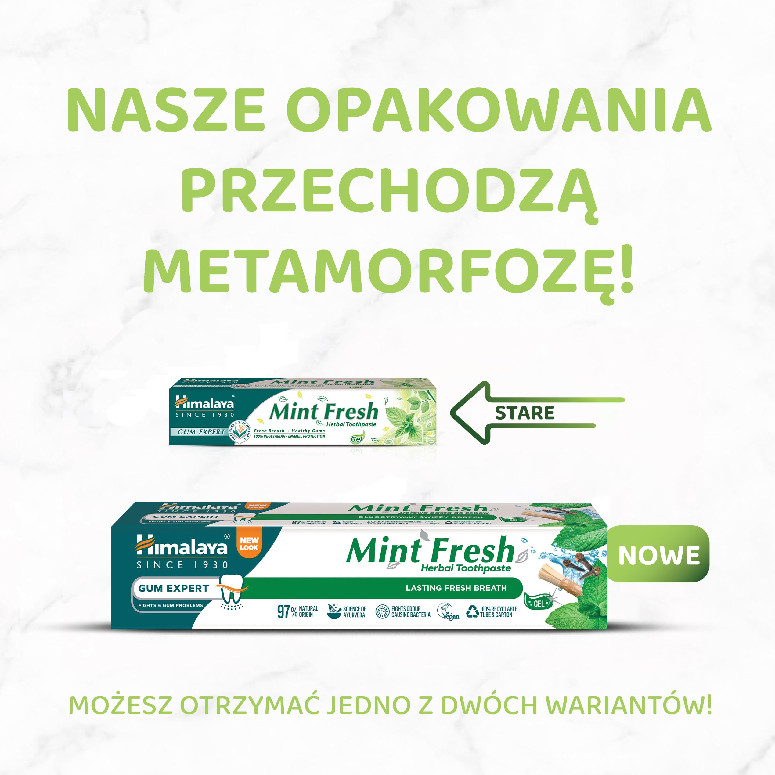 Himalaya Pasta do Zębów Gum Expert - Mint Fresh Długotrwały Świeży Oddech, Ziołowa Formuła, Ochrona przed Szkodliwymi Bakteriami i Tworzeniem się Płytki Nazębnej, 75 ml