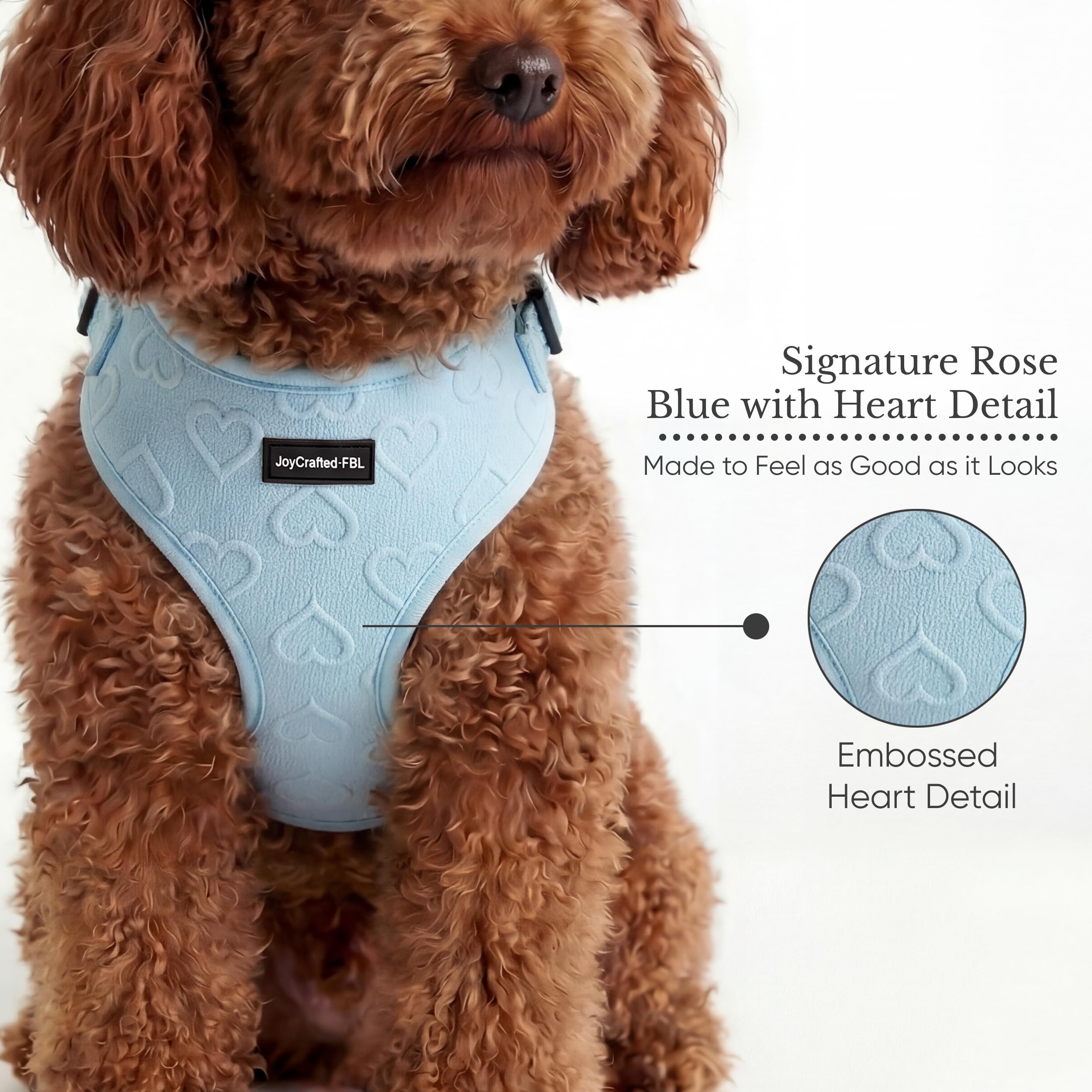 Hundegeschirr und Leine Set - Verstellbares, atmungsaktives Neopren, kein Ziehen, reflektierend, bequeme Passform für kleine und mittelgroße Hunde (Blau, S)