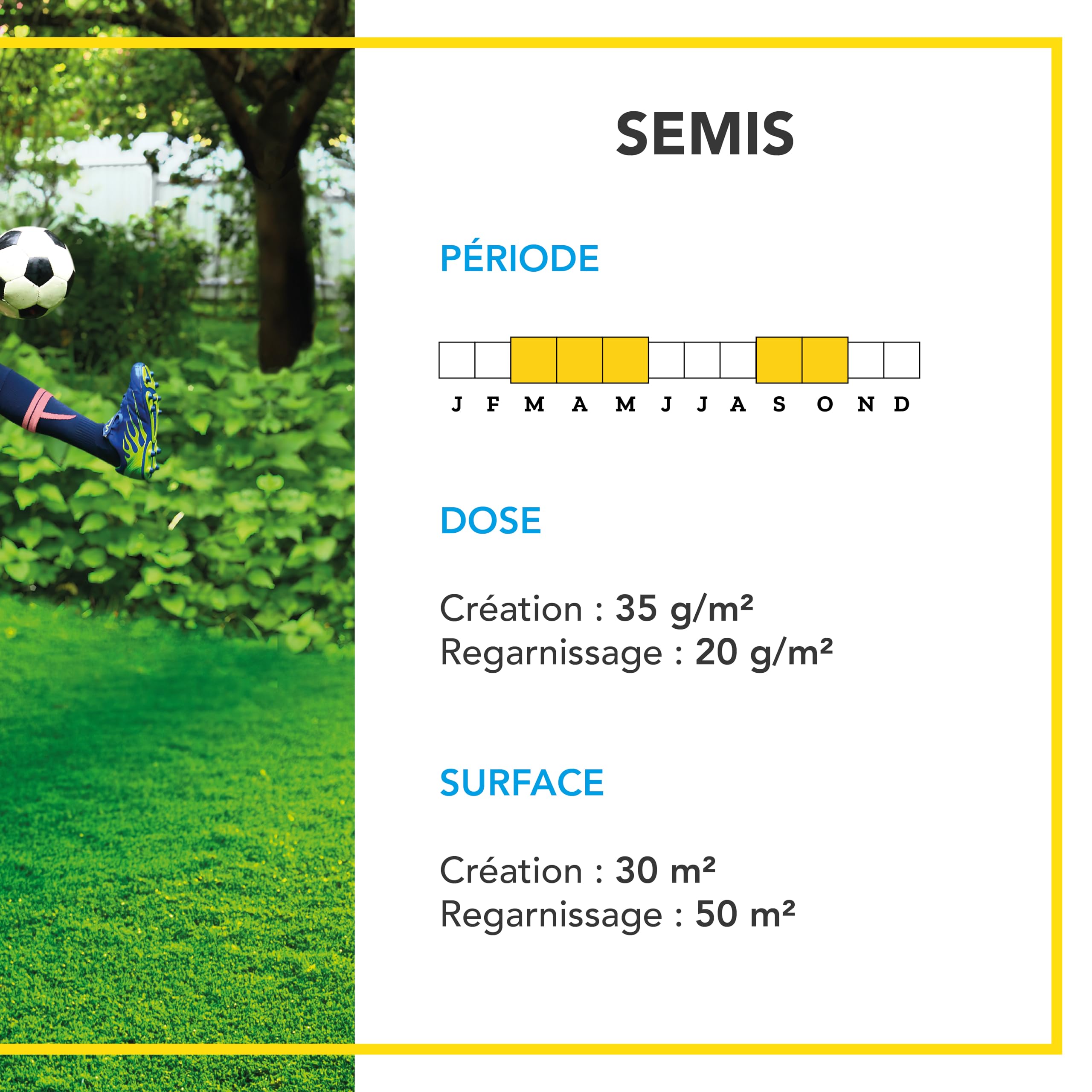 BARENBRUG Gazon Sport Usage intensif Super Résistant 1KG