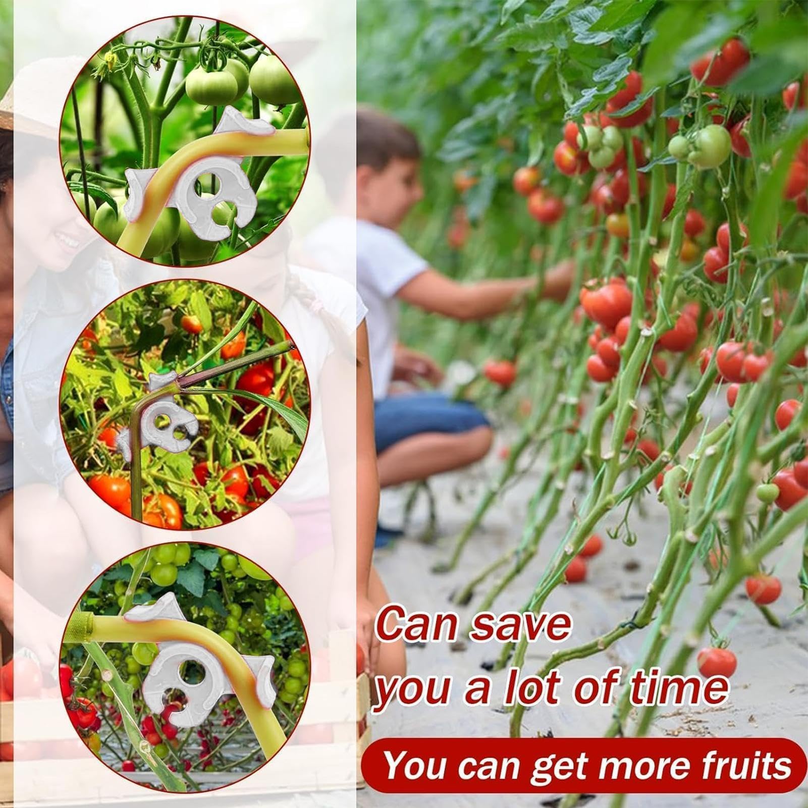 30 Clip Per Addestramento Piante A Basso Stress, Regolabili, Piegatrici Per Steli, Per Giardinaggio Indoor E Outdoor - 3