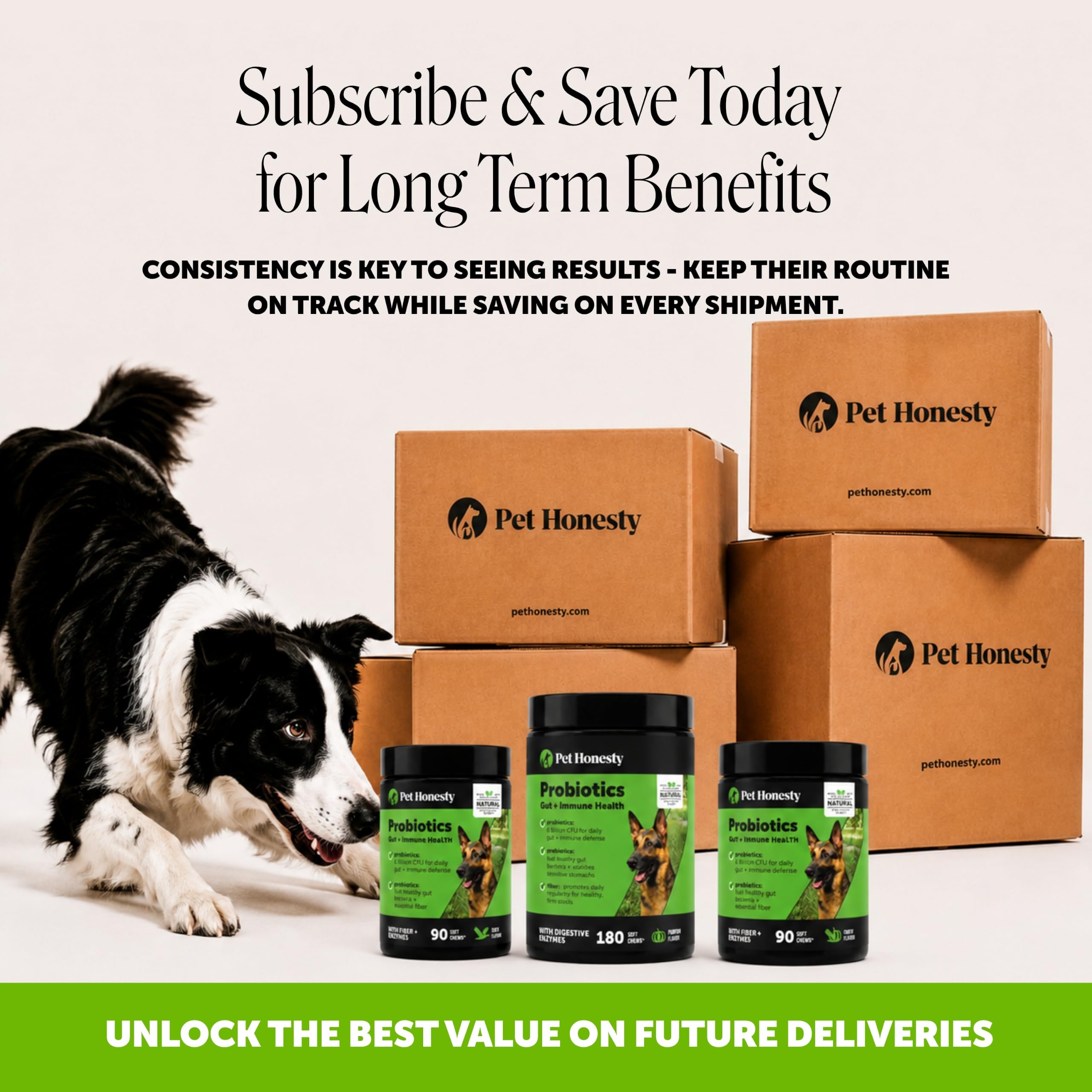 Pet Honesty Dog Probiotics Chews for Gut & Digestive Health, 90ct, Pumpkin — Amazon image 5