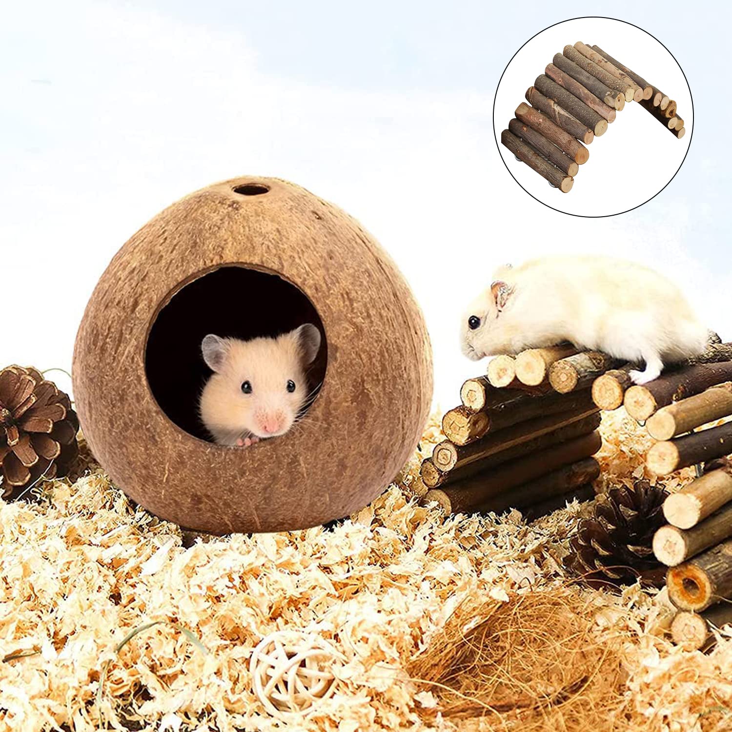 2 Pezzi Nido per Criceti e Uccelli di Cocco, Giocattoli Arrampicata con Scala, per Il Posatoio e La Ricreazione degli Animali Domestici