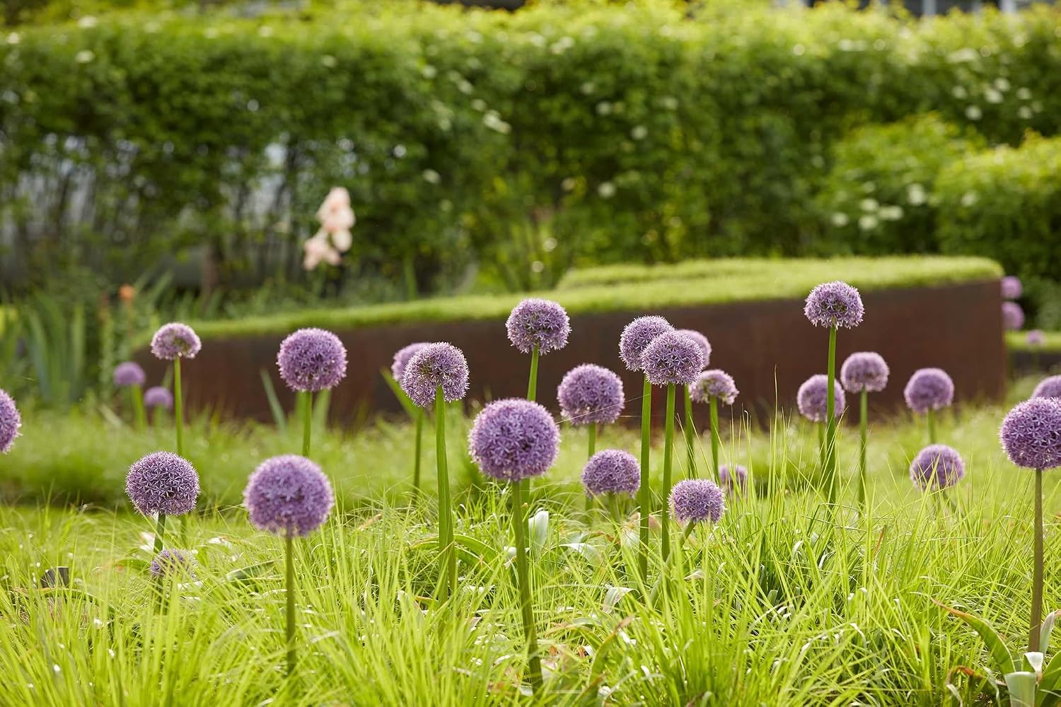 Enduring Gardens: The Tame and the Wild