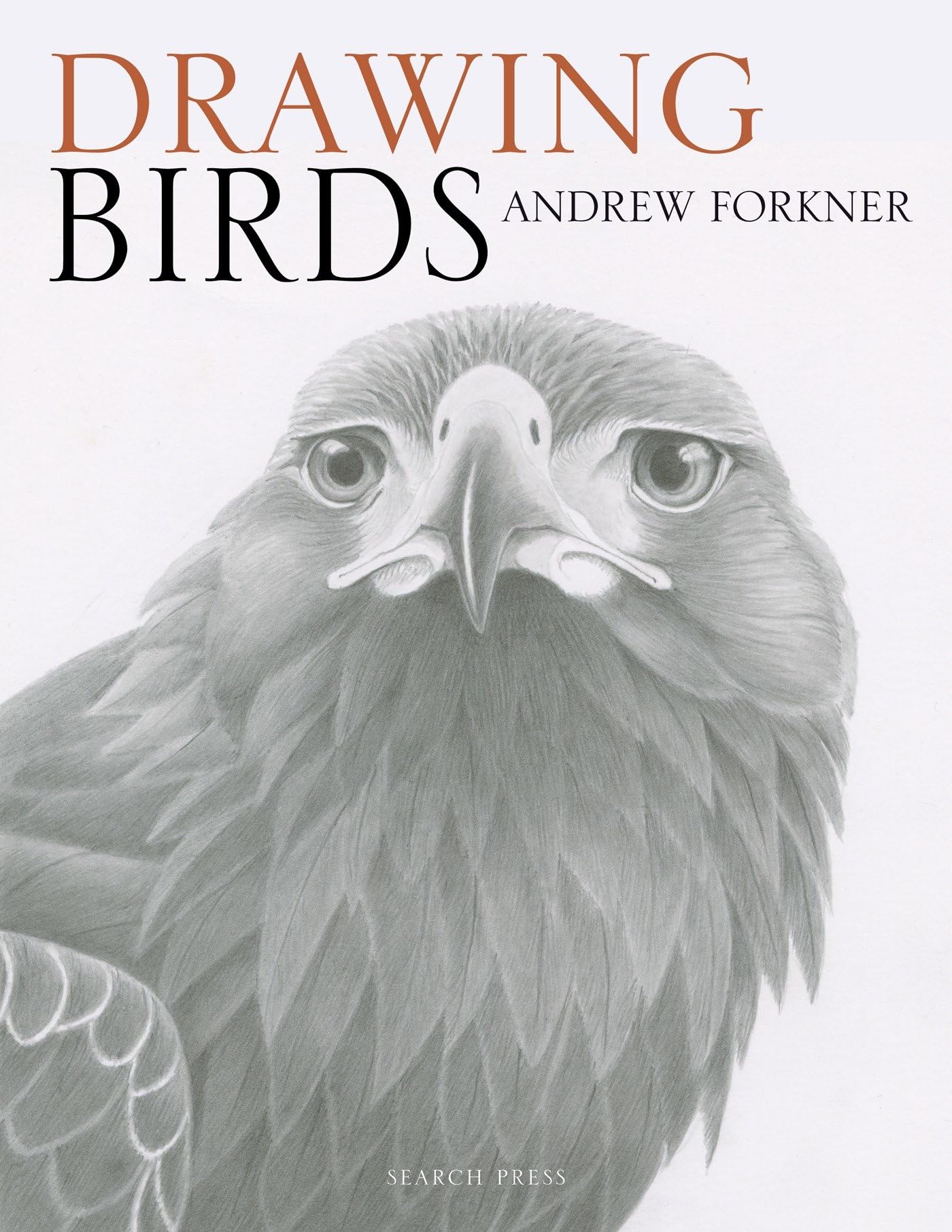 Drawing Birds by Andrew Forkner PAPERBACK 9781782214922