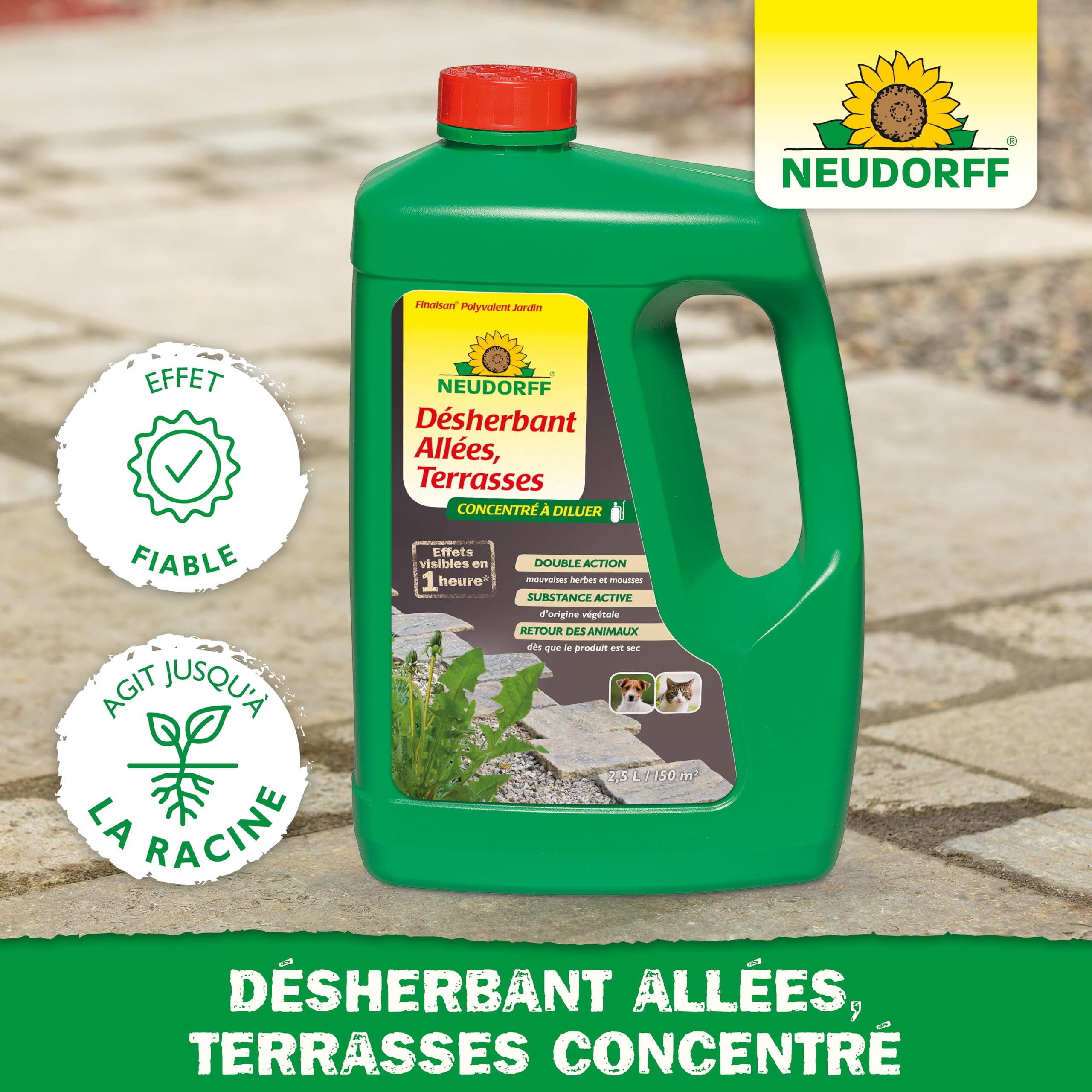 Neudorff Finalsan Désherbant Allées Terrasses 2,5 L sans glyphosate action rapide