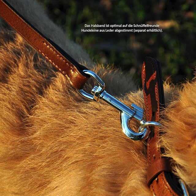 Foto 8 de 8 de Schnüffelfreunde Collar de Perro de Cuero (XXL - 55-65cm, Rojo)
