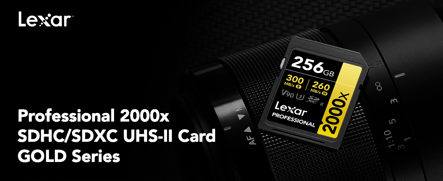 Amazon.com: Lexar 256GB Professional 2000x SD Card, UHS-II, C10 