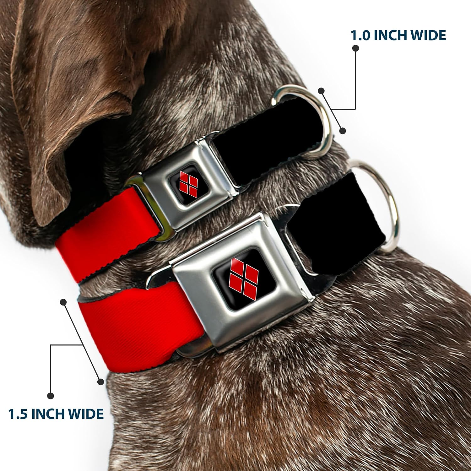 Buckle-Down Seatbelt Buckle Dog Collar - HARLEY QUINN/Diamonds Black/Red/White - 1.5" Wide - Fits 18-32" Neck - Large