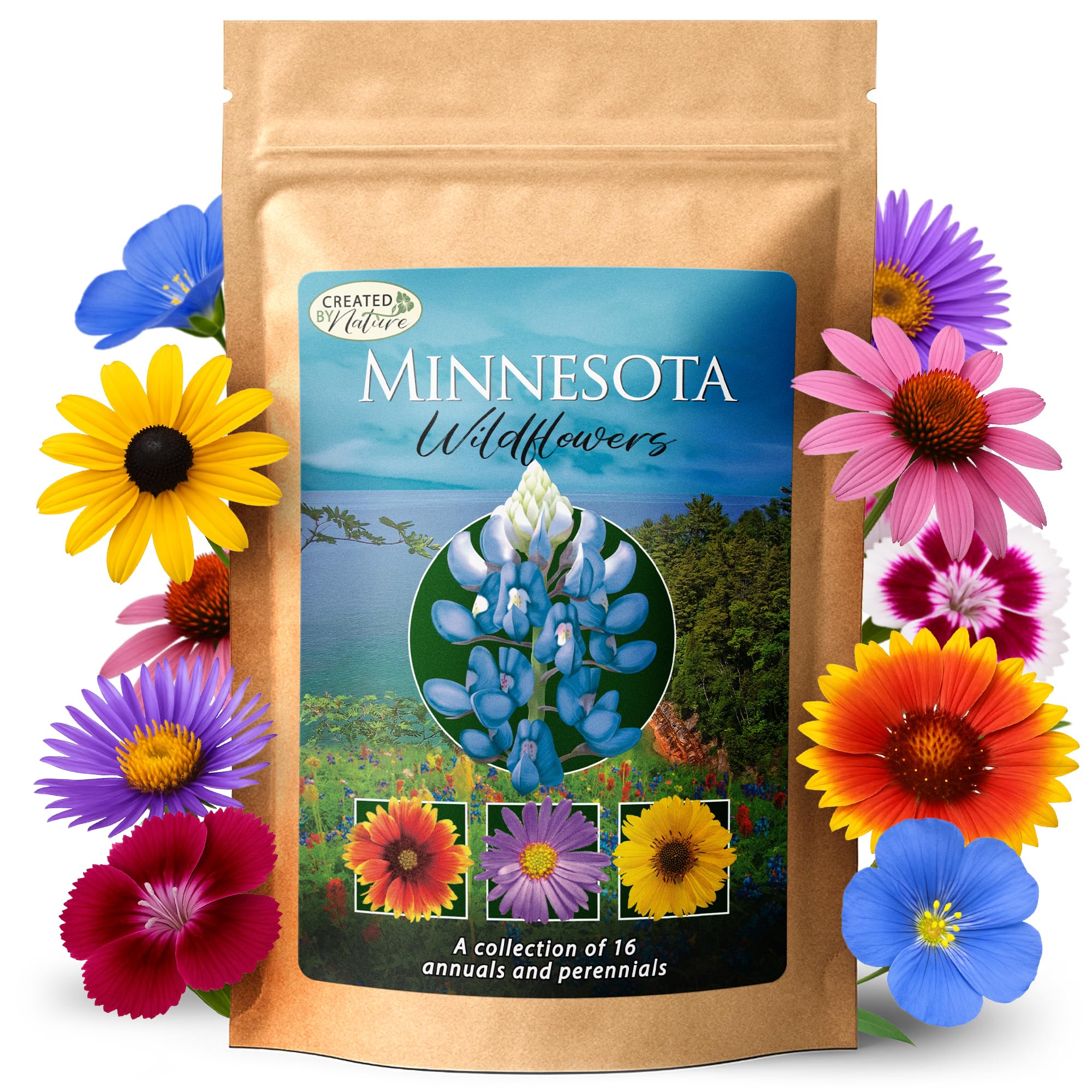 Amazon.com : Created By Nature Minnesota Wildflower Seed Mix, 16