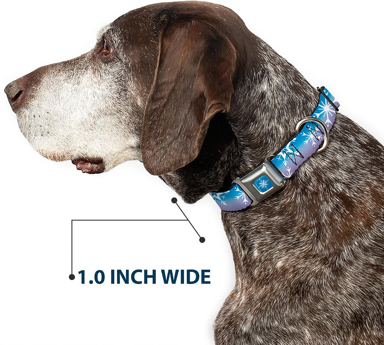 Disney Pet Collar, Dog Collar Metal Seatbelt Buckle, Frozen 2 Snowflakes Blues Purples White, 15 to 24 Inches 1.0 Inch Wide