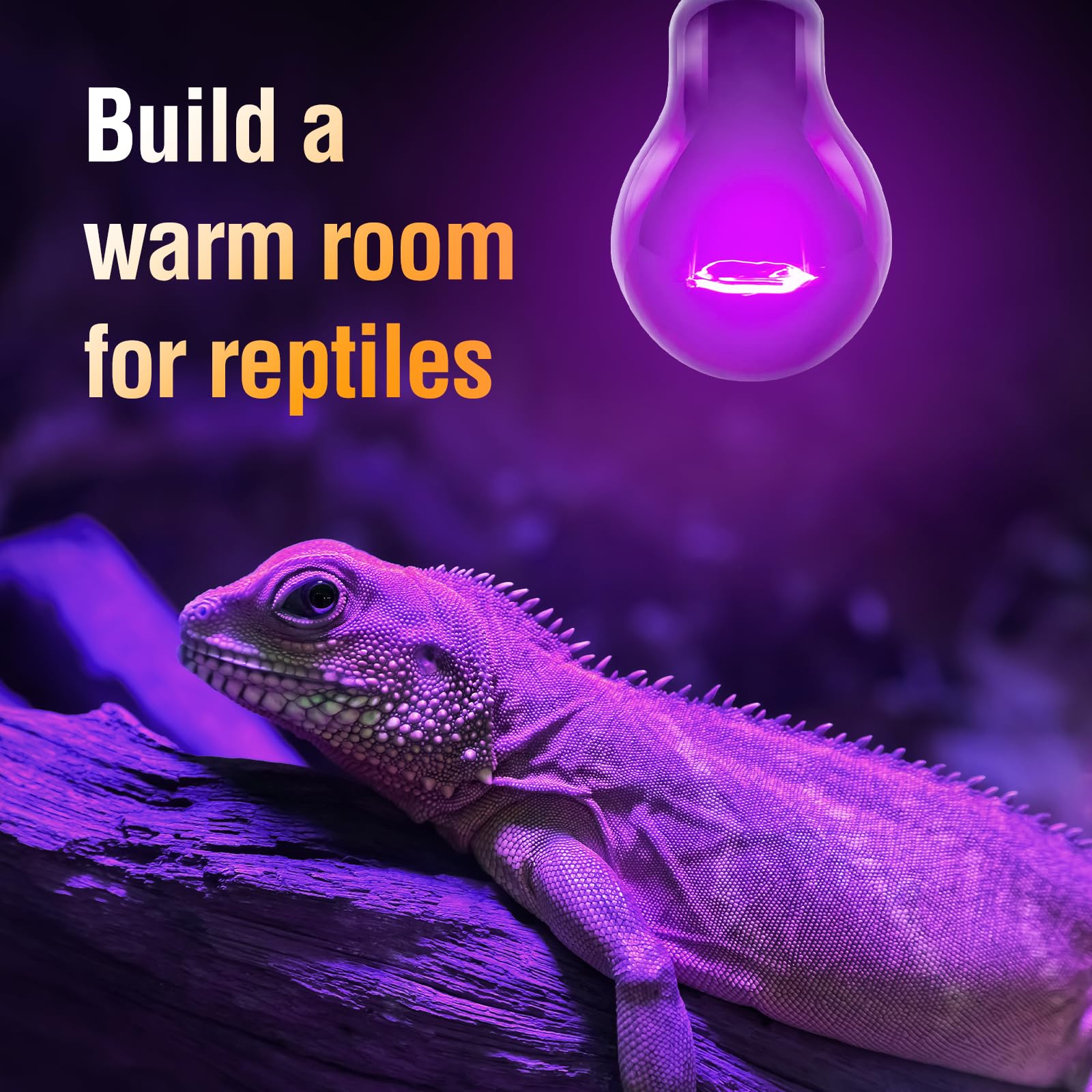 Leoterra Reptile Night Heat Lamp 2-Pack 100W - Purple Moonlight Simulation Bulb 40+Gallons Tank Use for Chameleons, Snakes, Green Iguanas Lizard Use 120V E26 Base 2000+ Hours Long Life - image 4