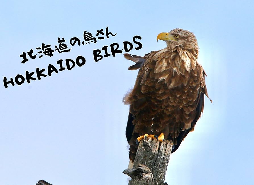 日本の鳥　写真集 日本野鳥写真大全 | 大橋 弘一, 諸角 寿一 |本 | 通販 | Amazon