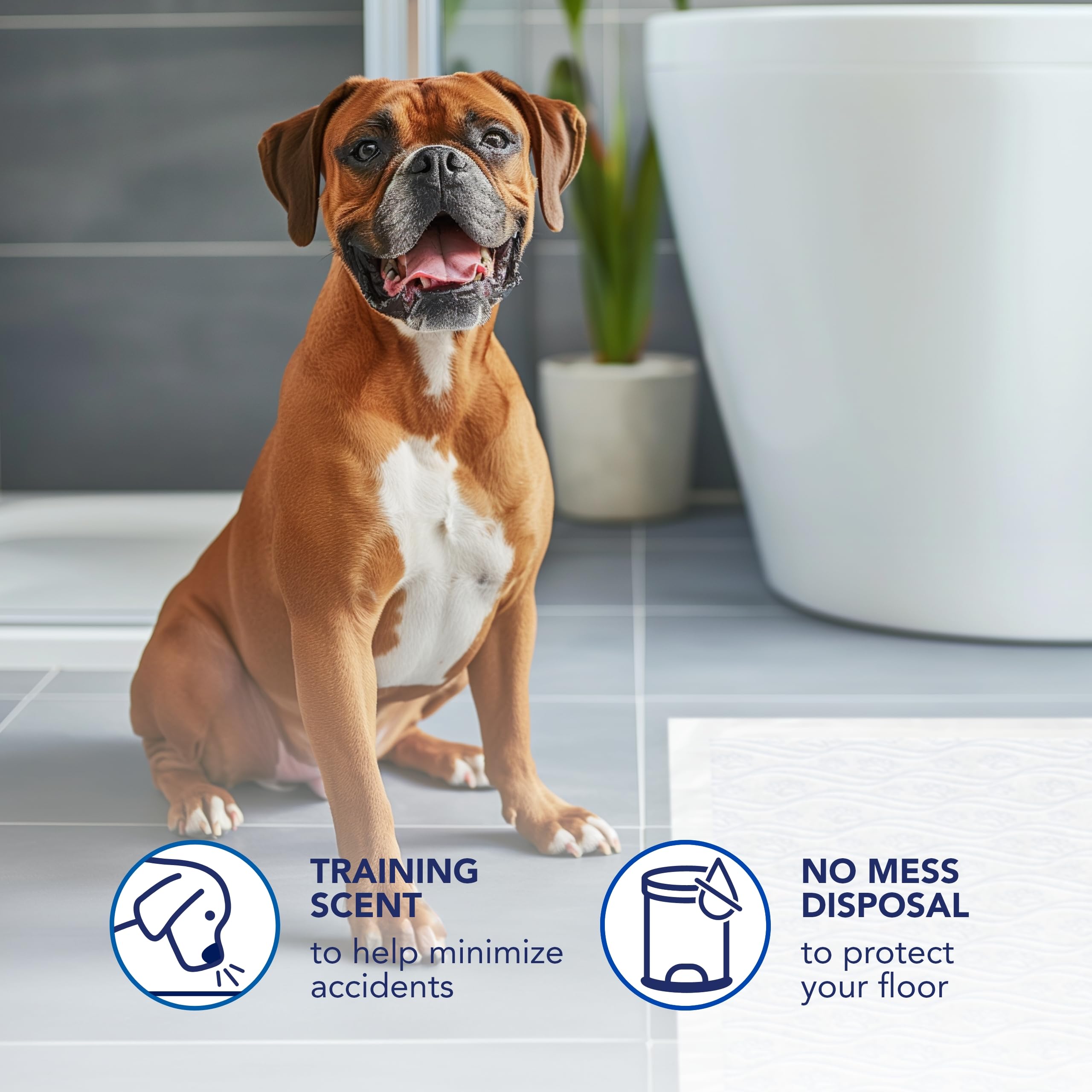 Scott Pet Guard Hundeunterlagen – Hundetrainings-Urinierunterlagen für große und extra große Hunde – bis zu 12 Stunden saugfähige Geruchskontrolle – einfach Einweg-Hunde-Pinierunterlagen – Größe XXL –