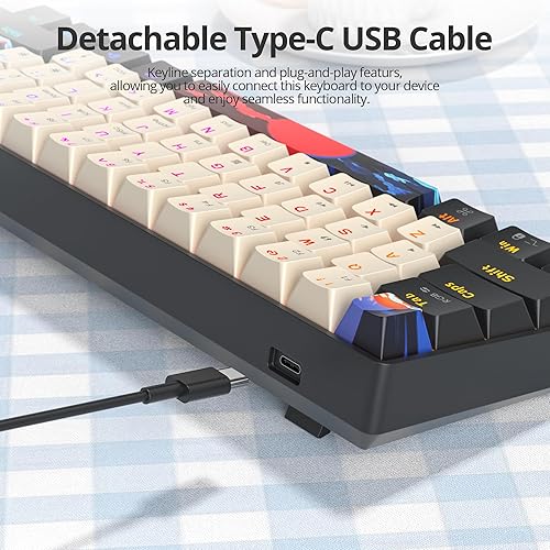 Miniatura 4 de Teclado mecánico naranja para juegos 60 por ciento, interruptor rojo RGB 60%, teclado pequeño con cable de 61 teclas, teclas PBT, mini teclados