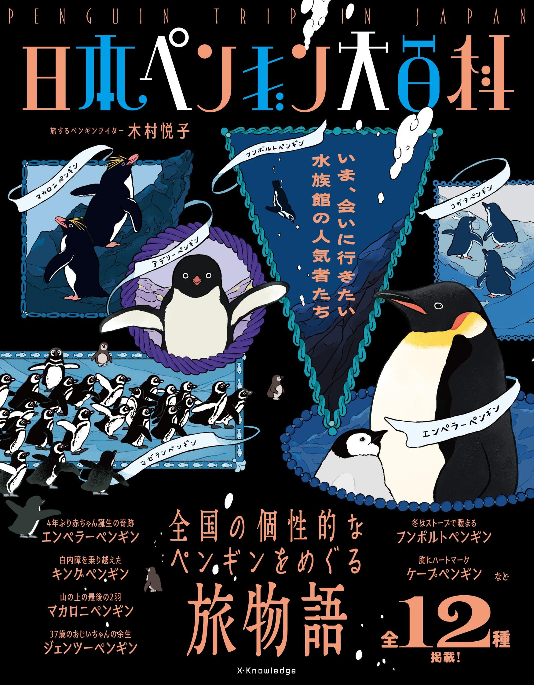 ペンギン　第二シリーズから第五シリーズ Amazon.co.jp: 日本ペンギン大百科 : 木村 悦子: 本